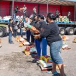 monthy food hamper distribution
